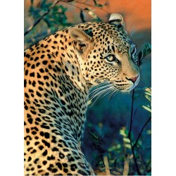 3D Diamant Pixel Bild Leopard