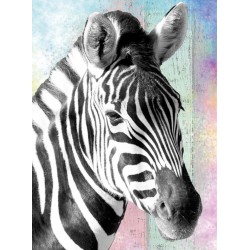 3D Diamant Pixel Bild Zebra