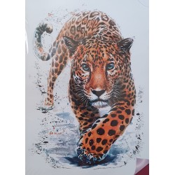 Bügel Bild Leopard