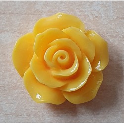 Harz Rose gelb