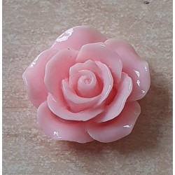 Harz Rose rosa
