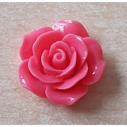 Harz Rose pink