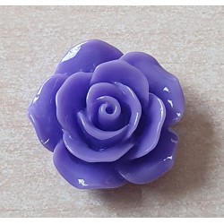 Harz Rose violette