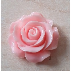 Harz Rose rosa