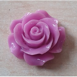 Harz Rose lila