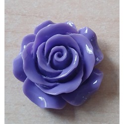 Harz Rose violette
