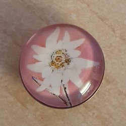 Druckknopf Edelweiss rosa