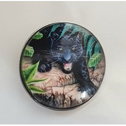 Druckknopf schwarzer Panther