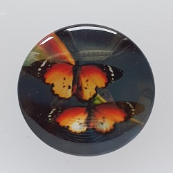 Cabochon Schmetterling orange