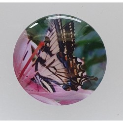 Cabochon Schmetterling lila