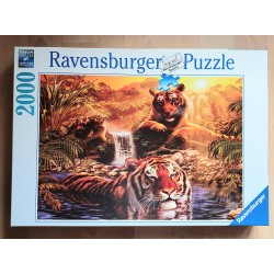 Puzzle Tiger im Wasser