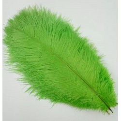 Straussenfeder grün 18 cm