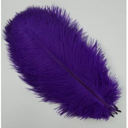 Straussenfeder violette 18 cm