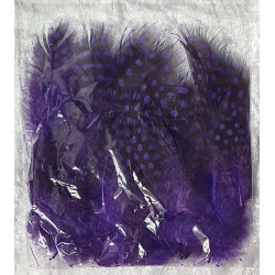 Dekofedern violette