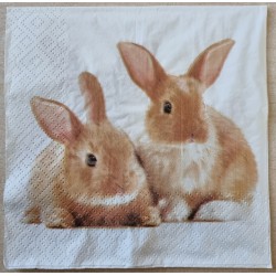 Serviette Zwei Kaninchen