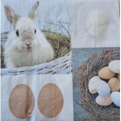 Serviette Kaninchen/Eier