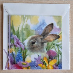 Kaninchen in Blumenwiese