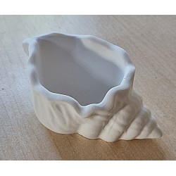 Beton Muschel weiß 1