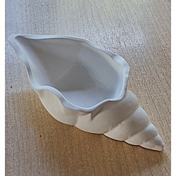 Beton Muschel weiß 2