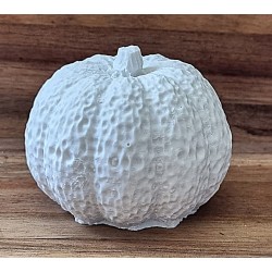 Beton Kürbis weiss 1