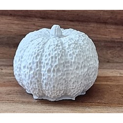 Beton Kürbis weiss 2
