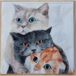 Serviette Drei Katzen