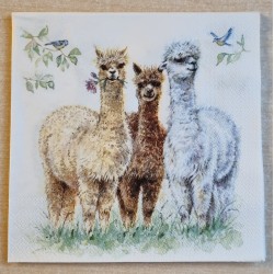 Serviette Alpakas