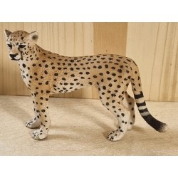 Gepard