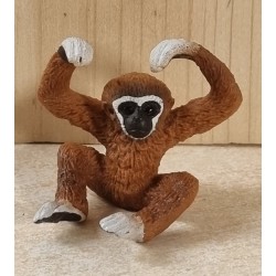 Gibbon Affe