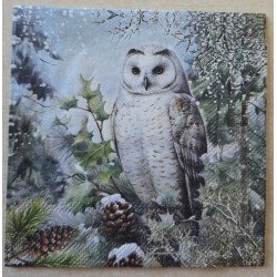 Serviette Schnee Eule