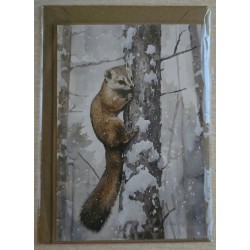 Karte Marder/Winterwald