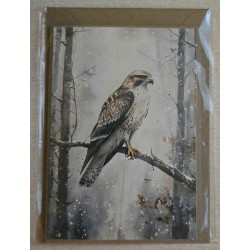 Karte Falke/Winterwald