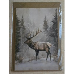 Karte Hirsch 2 /Winterwald
