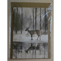 Karte Reh/Winterwald