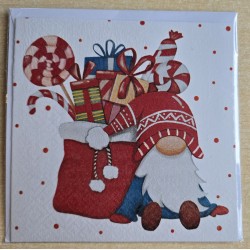 Karte Wichtel/Geschenk Sack