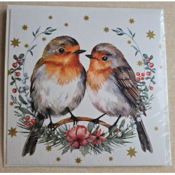 Karte Zwei Rotkehlchen