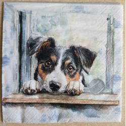 Serviette Hund/Fenster