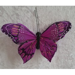 Schmetterling violette