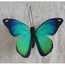 Schmetterling blau/türkis