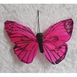 Schmetterling pink