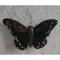 Schmetterling schwarz/braun