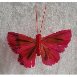Schmetterling pink