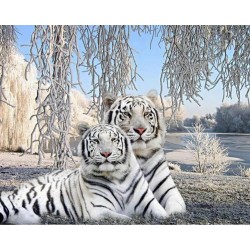3D Pixel Bilde weisse Tiger