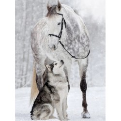 3D Pixel Bilde Pferd/Wolf