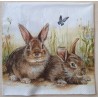 Serviette Kaninchen