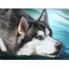 3D Diamant Pixel Bild Husky