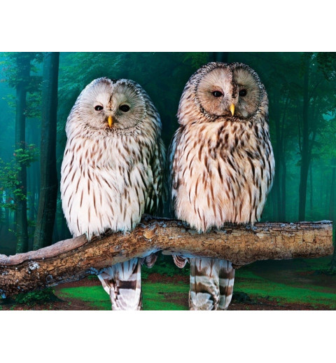 3D Diamant Pixel Bild Eulen