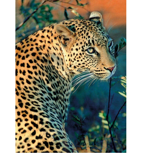 3D Diamant Pixel Bild Leopard