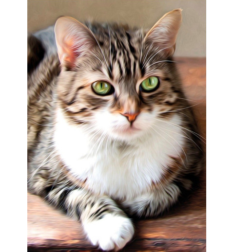 3D Diamant Pixel Bild Katze