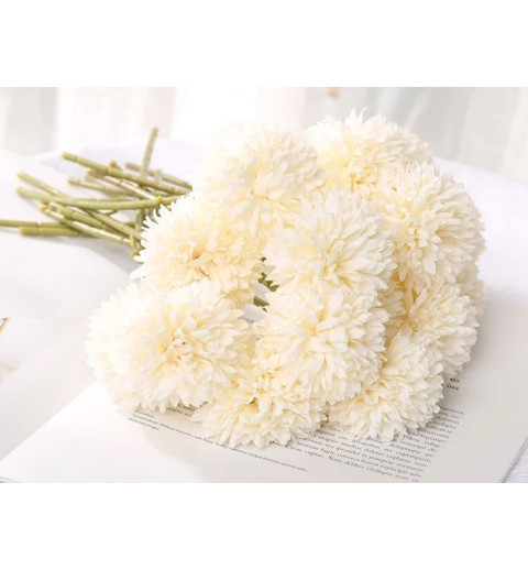 Löwenzahn Blume weiss
